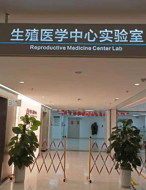 西陶母婴网机构介绍